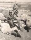 View The ענתיקה Album